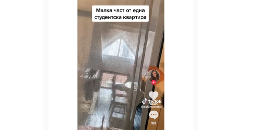 снимка: ТикТок