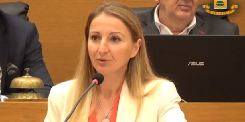 Веселина Александрова - Демократична България