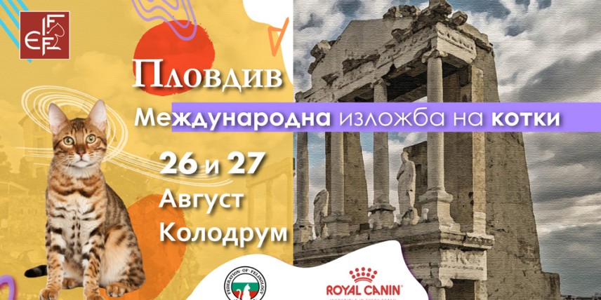 Международна изложба на котки се провежда в Пловдив