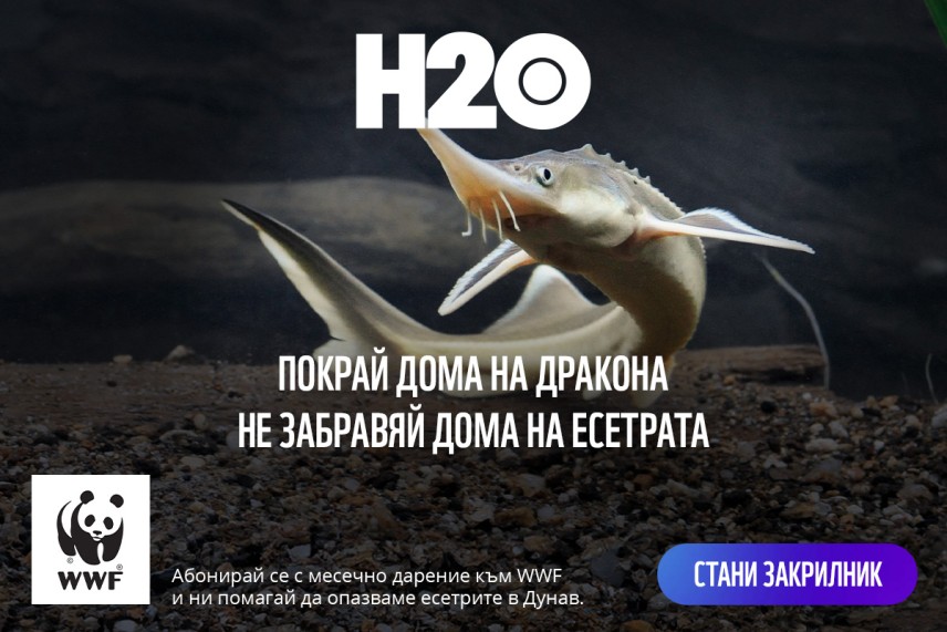 Покрай дома на дракона, да не забравяме и дома на есетрата