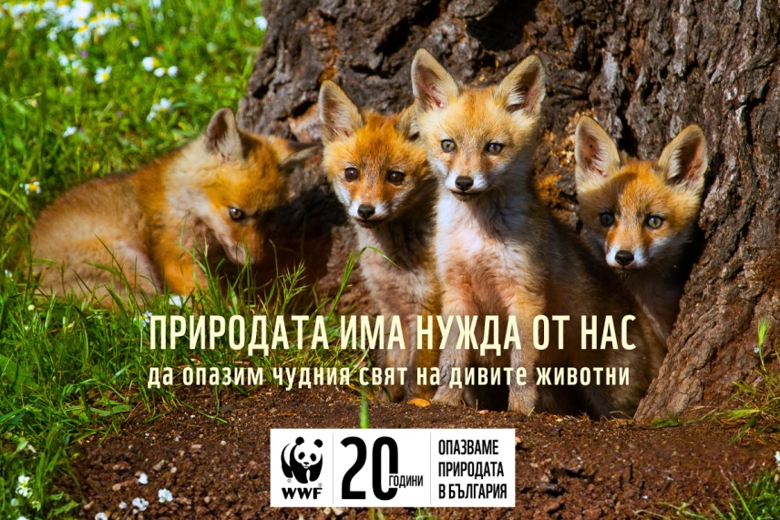 Юбилейна кампания на WWF ни призовава да пазим природата / https://dari.wwf.bg/priroda