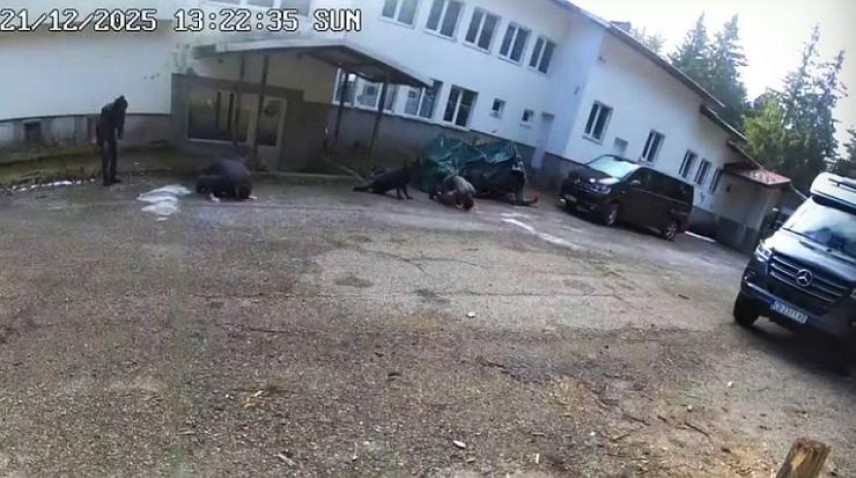 снимка: кадър видео