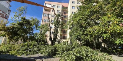 Обезопасиха топола пред блок 331 в „Тракия“