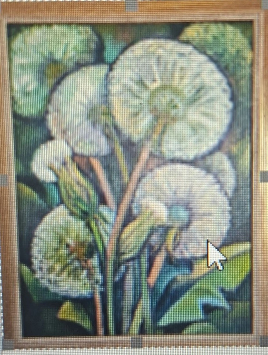 Вихра Григорова
