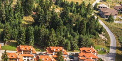 Горски служители уловиха и преместиха мечка от село Гьоврен